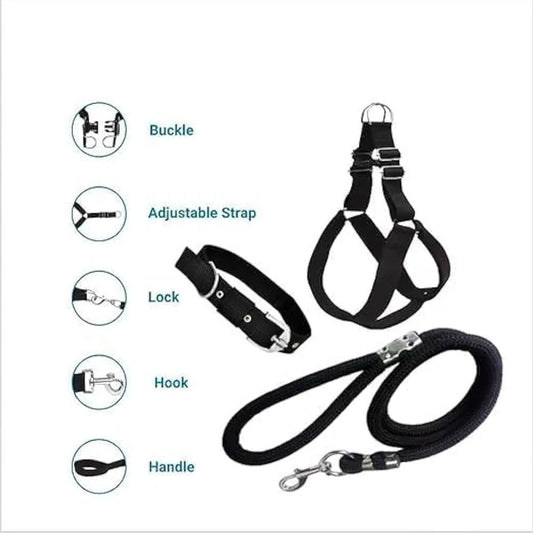 NAZBAY No Pull Dog Harness - Step in Dog Harness and Leash for Small Medium Large Dog - Escape Proof Adjustable Soft Leash Collar Set for Walking Training Hiking Outdoor, 15 Cm, 15 Cm